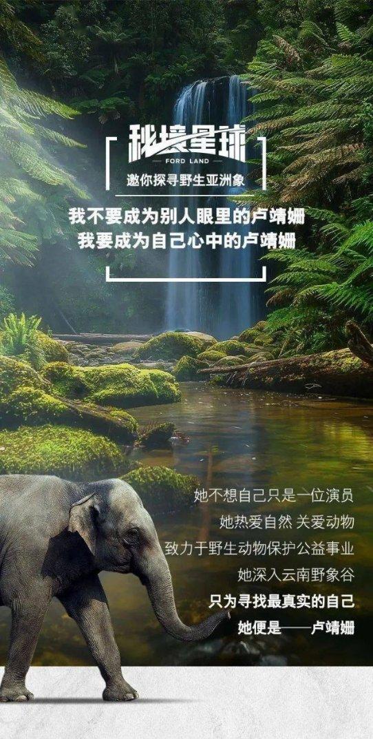 不畏艰难,直面挑战