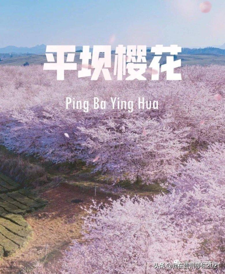 穿越火线之枪战王者