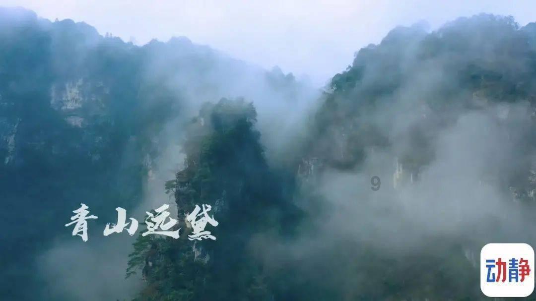 用“数字贴”变更车号牌，威宁一男子被拘！