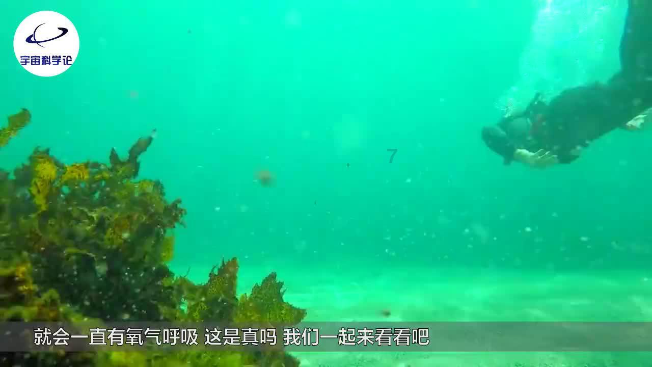 铠甲勇士大作战2
