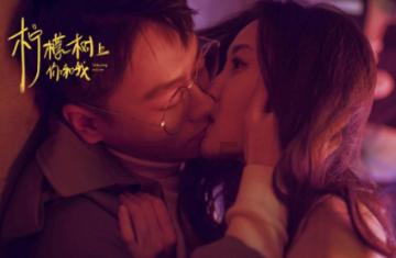 驼奶粉哪儿的最好最正宗,追溯产地与品质,寻找最纯正的驼奶粉