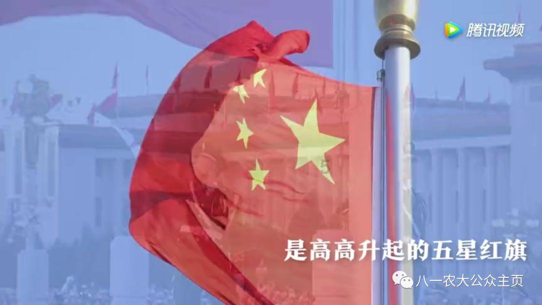 广东湛江外贸进出口连续三年保持两位数增长