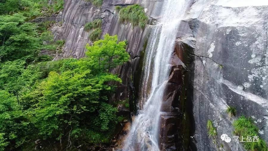 春雨直播app