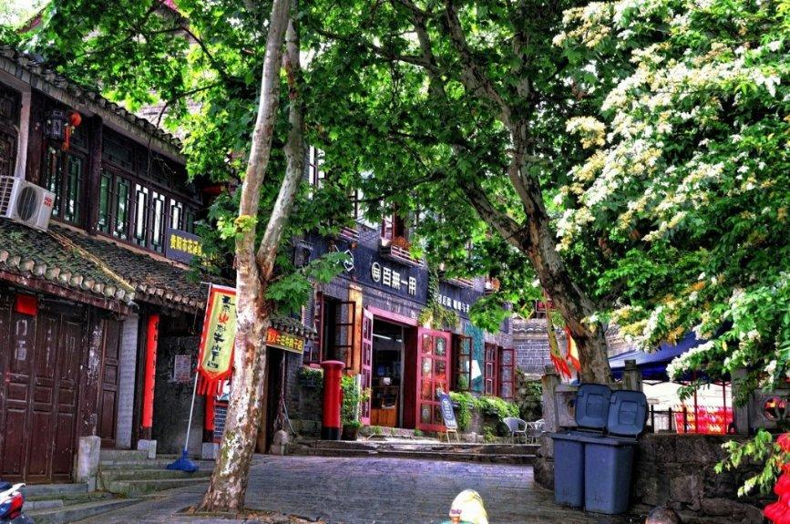 一起捕鱼吧