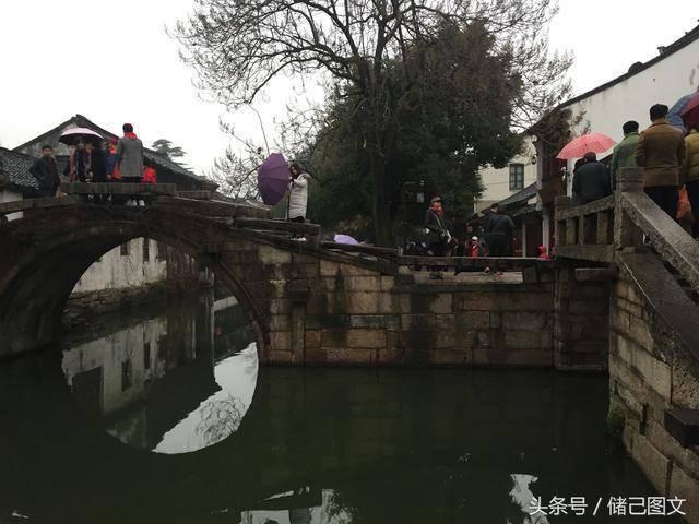 谷医堂谷方益元科普:乌鸦聚集说明要地震?